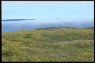 Fog in Frenchman Bay